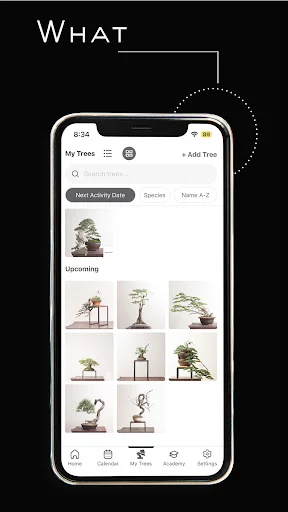 Mirai Mobile ڈاؤن لوڈ کریں – بونسائی کی ماہرانہ رہنمائی - Screenshot 15