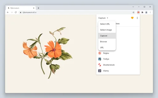 Search by Image ڈاؤن لوڈ کریں – طاقتور ریورس امیج سرچ ٹول - Screenshot 3