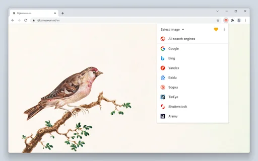 Search by Image ڈاؤن لوڈ کریں – طاقتور ریورس امیج سرچ ٹول - Screenshot 1