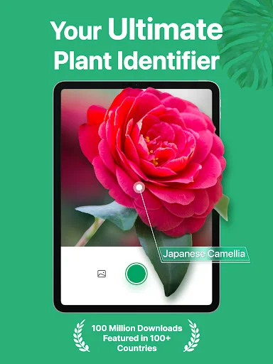 PictureThis ڈاؤن لوڈ کریں – پودوں کی فوری شناخت اور دیکھ بھال - Screenshot 9