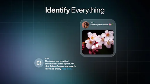 AI Chatbot – Nova ڈاؤن لوڈ کریں – جدید ترین AI ماڈل مفت - Screenshot 38